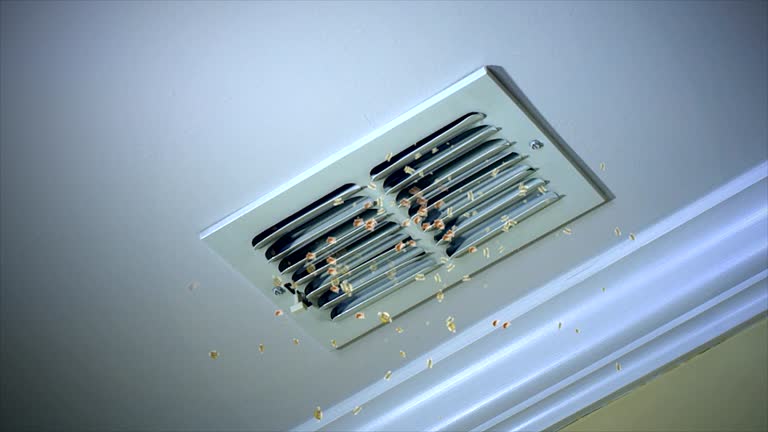 Reliable Terre Du Lac, MO Airduct Cleaning Solutions